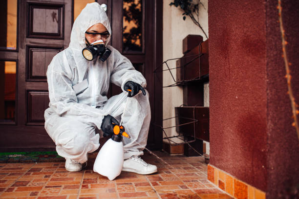 Reliable Bed Bug Control contractor in Louisville, TN by Nex Pest Control