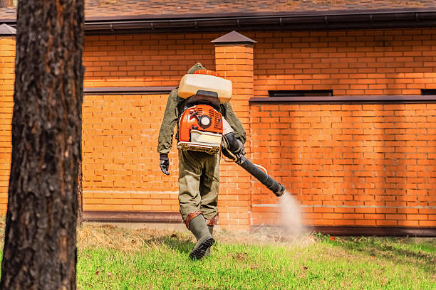 Trusted Termite Control service in Louisville, TN - Nex Pest Control